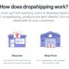 What is Shopify Dropshipping And How Does It Work